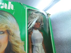 farrah in box side